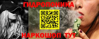 индика Партизанск