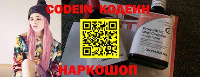 индика Партизанск