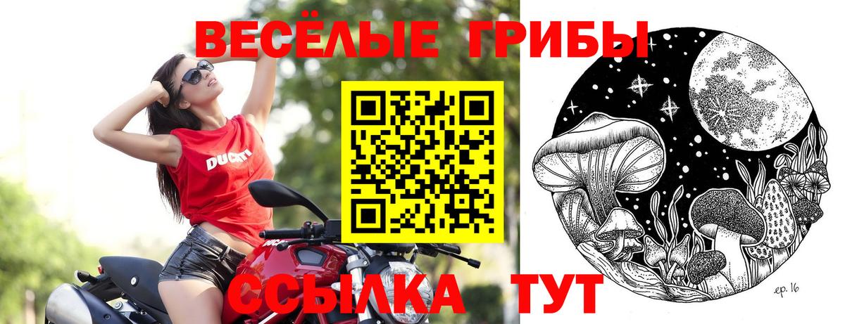 Псилоцибиновые грибы Cubensis  Вход с VPN  Петропавловск-Камчатский  Галлюциногенные грибы GOLDEN TEACHER 
