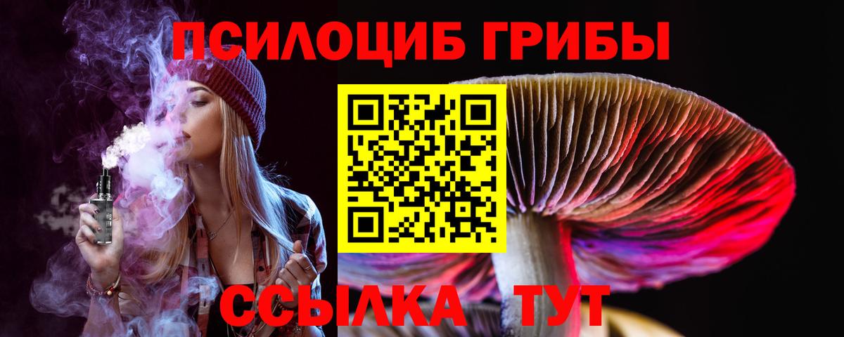 Галлюциногенные грибы Psilocybine cubensis Петропавловск-Камчатский